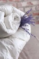 Jorgan Lux - Image 3